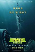 《巨齿鲨》免费超清完整版