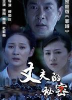 丈夫的秘密2012高清完整版